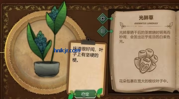 奇异园艺手游最新版