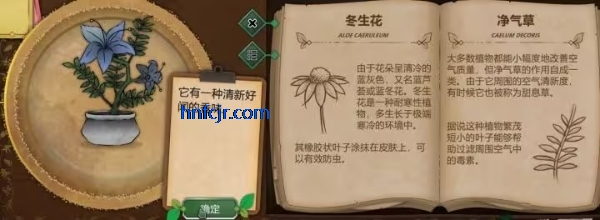 奇异园艺手游最新版